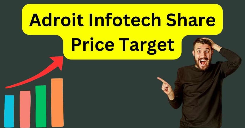 Adroit Infotech Share Price Target 2025 to 2030